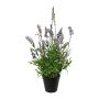 Decorative flower Lavender SMORLI in decorative pot, purple, 20"/50cm