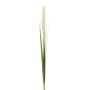 Artificial pennisetum panicle KROVE, spike, cream, 33"/85cm