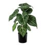 Artificial plant Anthurium KURMA, green-white, 14"/35cm