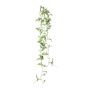 Decorative hanging plant Tradescantia zebrina FROLHE, stick, green-white, 3ft/100cm