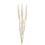 Fake grass Pennisetum ALOGUI with panicles, spike, beige, 20"/50cm