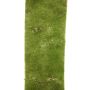 Plastic mat Grimmia LANLING, green, 10ftx31"/300x80cm
