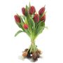 Artificial tulip bouquet LONA with bulbs, red-black, 14"/35cm, Ø10"/25cm