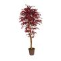 Decorative Japanese maple GORDJUSCHA, real stems, dark red, 6ft/175cm - Made in Italy