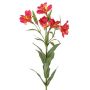 Decorative branch, Inca lily AUBERTA, fuchsia-yellow, 30"/75cm, Ø2.4"/6cm