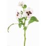 Decorative branch pansy SIANIE, white-burgundy, 14"/35cm, Ø2"-2.6"/5-6.5cm