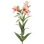 Decorative Inca lily branch AUBERTA, pink-fuchsia-yellow, 30"/75cm, Ø2.4"/6cm