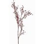 Decorative flax branch QUOLL with spikes, burgundy, 26"/65cm