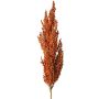 Decorative sorghum branch WADDY with ears, orange, 31"/80cm