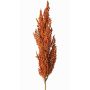 Decorative sorghum branch WADDY with ears, orange, 31"/80cm