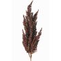 Decorative branch, sorghum WADDY with ears, dark red, 31"/80cm