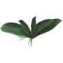 Artificial Phalaenopsis orchid leaves PRIMALA, aerial roots, 8"x10"/21x26cm
