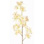 Artificial Odontoglossum orchid branch BELANIA, cream-fuchsia, 30"/75cm