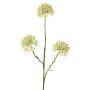 Decorative Allium branch ALIKIO, white, 65cm, Ø7cm