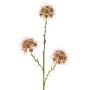 Artificial Allium branch ZEBU, pink, 65cm, Ø7cm