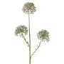 Decorative Allium branch ALIKIO, blue, 65cm, Ø7cm