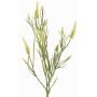 Decorative branch clover EUTIN with flowers, white-green, 31"/80cm, Ø0.6"-0.8"/1.5-2cm