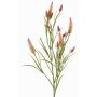 Decorative branch clover EUTIN with flowers, antique pink-green, 31"/80cm, Ø0.6"-0.8"/1.5-2cm