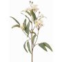 Artificial eucalyptus branch WANARA with flowers, white, 100 cm, Ø 2–6 cm