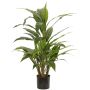 Artificial Cordyline ORMOS, green, 31"/80cm