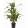 Artificial Cordyline ORMOS, green, 31"/80cm