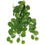 Stephania erecta artificial plant ANOGIA on a support stick, green, 50cm