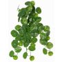 Stephania erecta artificial plant ANOGIA on a support stick, green, 20"/50cm