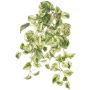 Artificial ivy hanging plant SITIA, on a stake, green-white, 20"/50cm
