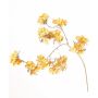 Velvet hydrangea decorative branch PIRES, yellow-gold, 110cm