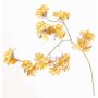 Velvet hydrangea decorative branch PIRES, yellow-gold, 4ft/110cm