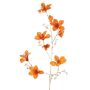Velvet Bauhinia decorative branch GAZERA, orange-gold, 4ft/115cm