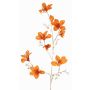 Velvet Bauhinia decorative branch GAZERA, orange-gold, 4ft/115cm