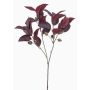 Decorative branch Eucalyptus VIZIMIR with fruits, burgundy red, 31"/80cm