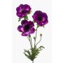 Artificial anemone SUGOL, violet, 30"/75cm