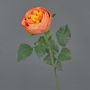 False cabbage rose VANNI, orange, 24"/60cm