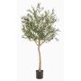 Decorative olive tree DRAX, artificial trunk, fruits, green, 6ft/180cm