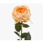 False rose THYRI, peach, 26"/65cm
