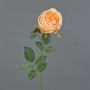 False rose THYRI, peach, 26"/65cm