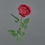 False rose THYRI, red, 26"/65cm