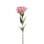 Artificial dianthus barbatus BEEKE, white-fuchsia, 20"/50cm