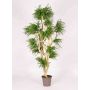 Artificial tree Abelia DIMYTRO with natural stems, crossdoor, green, 6ft/185cm - Made in Italy