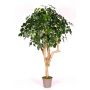 Decorative schefflera SOLIDA, real stem, green, 6ft/175cm - Made in Italy