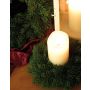 Artificial Nordmann fir wreath TAURO, Ø 8"/20 cm