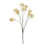 Artificial Baby’s breath LITAGO, Trockenoptik, beige, 70cm, Ø1,5cm