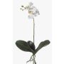 Artificial Phalaenopsis orchid FAO on spike, white, 18"/45cm