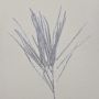 Artificial cedar branch THEOBALD, glitter, silver, 24"/60cm