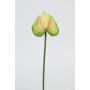 Plastic anthurium spray FELISA, green, 20"/50cm, Ø2.8"x3.5"/7x9cm