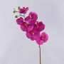 Artificial Phalaenopsis orchid spray RICKY, pink, 3ft/105cm