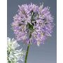 Artificial agapanthus SHANNAYA, purple, 30"/75cm