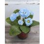 Artificial daisies MORGANA, terracotta pot, light blue, 6"/15cm